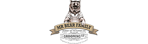 mrbearfamily